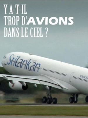 Y a-t-il trop d'avions dans le ciel ?'s poster