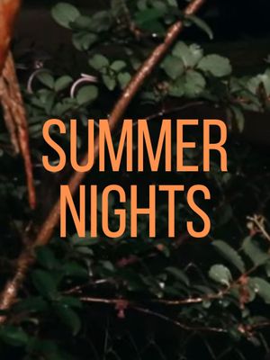 Summer Nights's poster