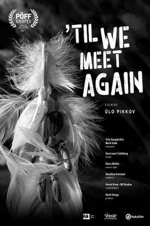 Till We Meet Again's poster