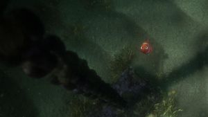 Finding Nemo's poster