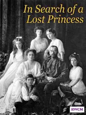 In Search of a Lost Princess's poster