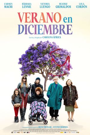 Verano en diciembre's poster