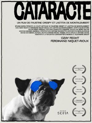 Cataract's poster