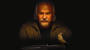 12's poster