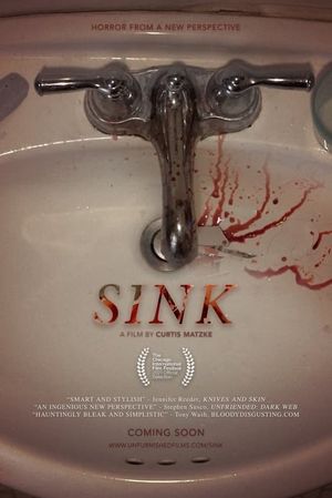 Sink's poster