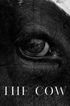 The Cow's poster
