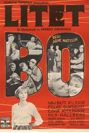 Litet bo's poster