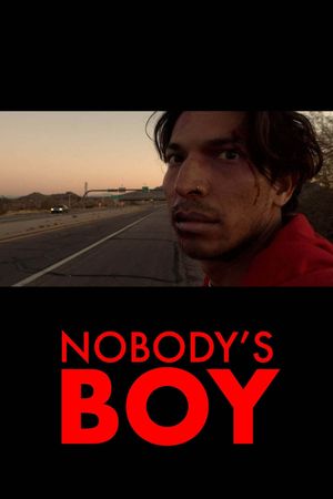 Nobody's Boy's poster