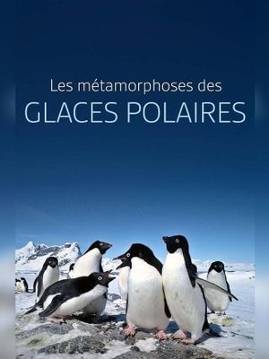 Les métamorphoses des glaces polaires : Un défi pour les écosystèmes's poster image