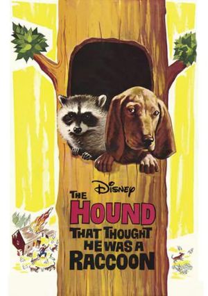 The Hound That Thought He Was a Raccoon's poster