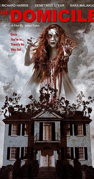 The Domicile's poster