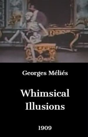 Whimsical Illusions's poster