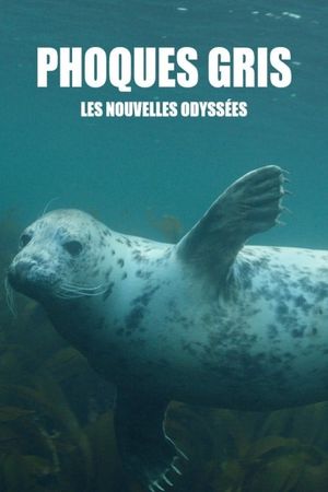 Grey Seals: A Journey of Survival's poster