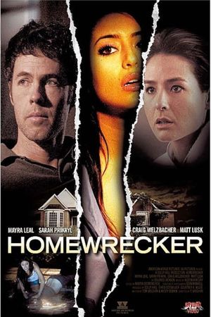 Playing House's poster