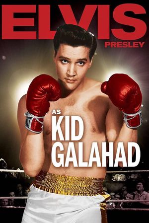 Kid Galahad's poster