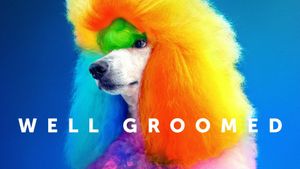 Well Groomed's poster