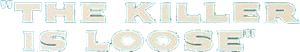 The Killer Is Loose's poster