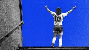 Diego: The Last Goodbye's poster