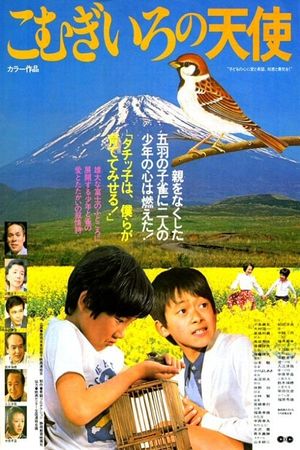 Komugironotenshi suzume to shonen's poster