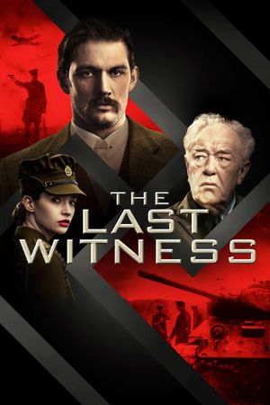 The Last Witness's poster