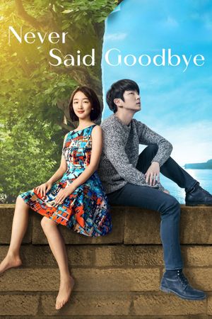 Never Said Goodbye's poster