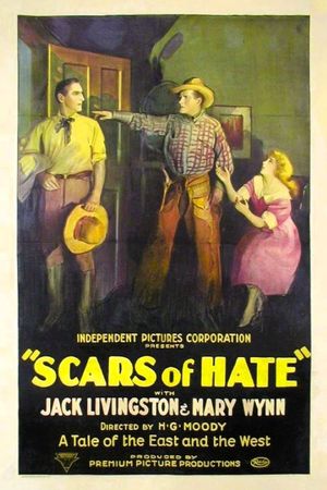 Scars of Hate's poster