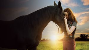Flicka: Country Pride's poster