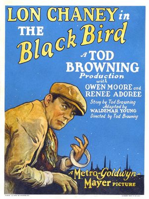 The Blackbird's poster
