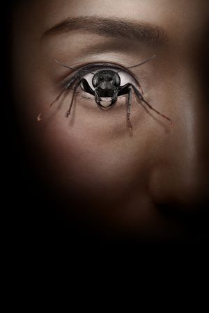 Control Freak's poster