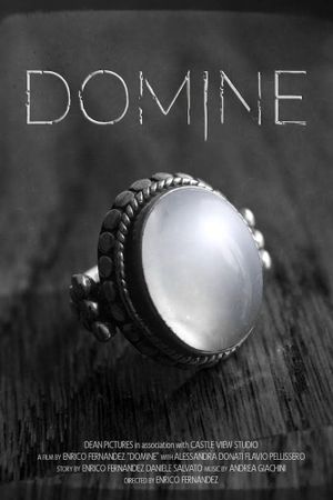 Domine's poster