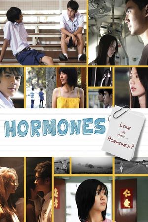 Hormones's poster