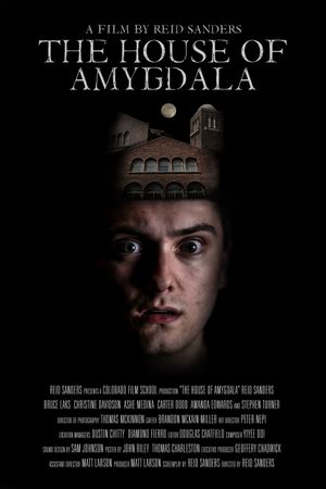 The House of Amygdala's poster