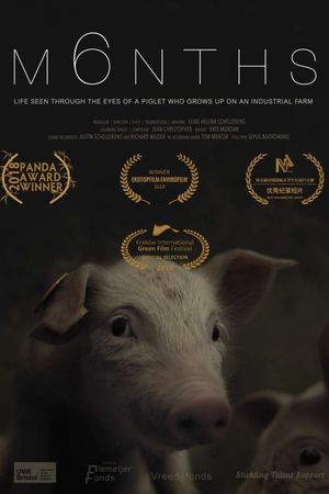 M6NTHS's poster