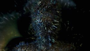 Annihilation's poster