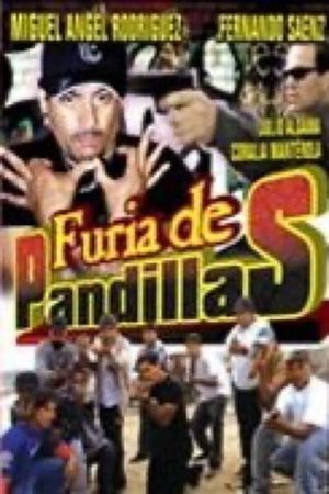 Furia de pandilleros's poster