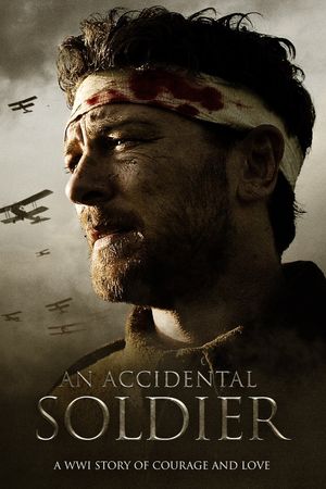 An Accidental Soldier's poster