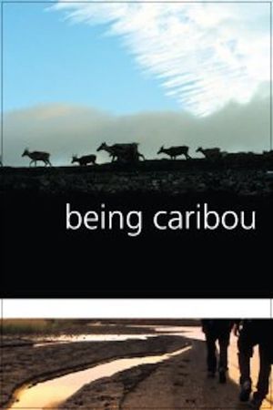 Being Caribou's poster