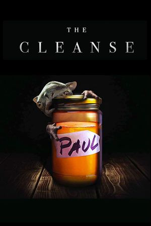 The Cleanse's poster