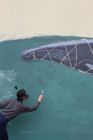 The Whale Story's poster image