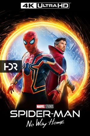 Spider-Man: No Way Home's poster