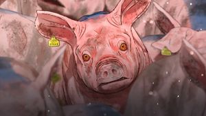 Pig That Survived Foot-and-Mouth Disease's poster