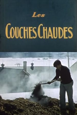 Les couches chaudes's poster