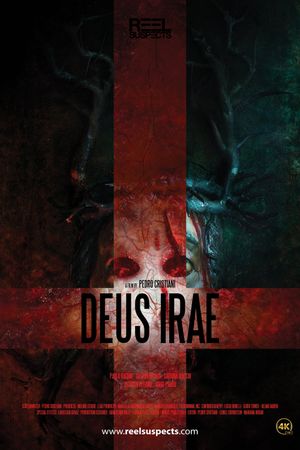 Deus Irae's poster