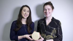 FIT Hives: Sustainability - The Secret to Survival's poster