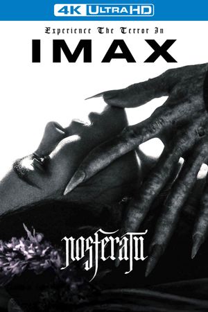 Nosferatu's poster