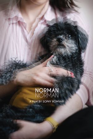 Norman Norman's poster