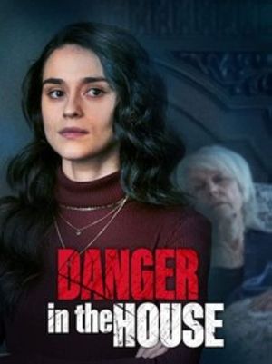 Danger in the House's poster