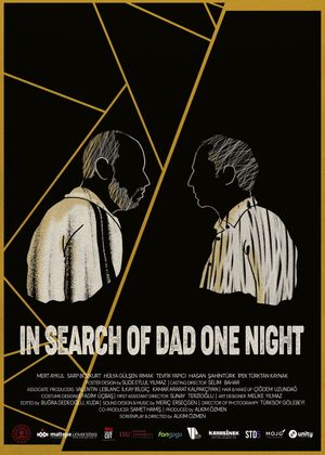 In Search of Dad One Night's poster