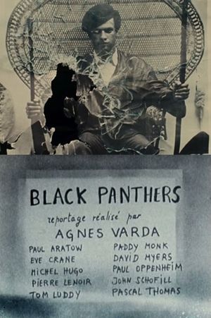 Black Panthers's poster