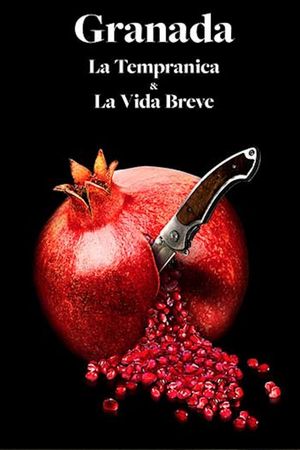 La vida breve's poster